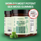 PrimalMoss™ Sea Moss Gummies
